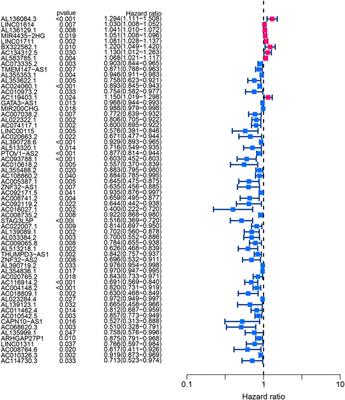 Construction and verification of a novel hypoxia-related lncRNA signature related with survival outcomes and immune microenvironment of bladder urothelial carcinoma by weighted gene co-expression network analysis